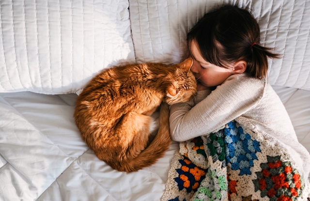 Lí do tại sao mèo thích ngủ với người?