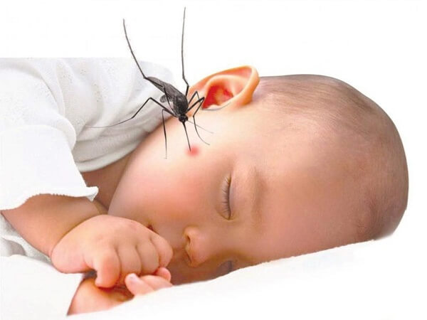 Mách mẹ 10 cách trị vết muỗi đốt cho trẻ đơn giản bằng các nguyên liệu có sẵn trong nhà ảnh 1