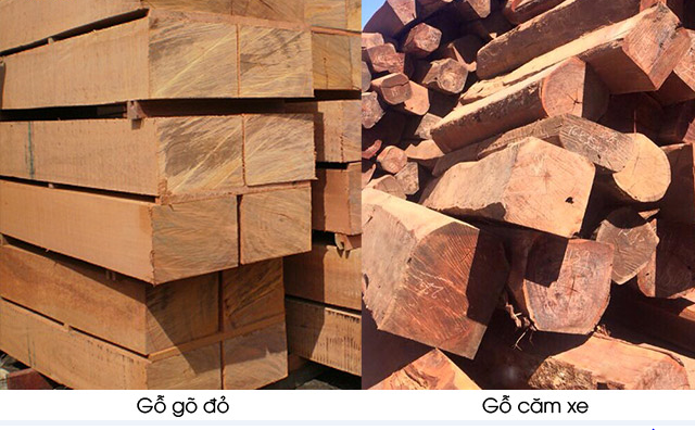 Sự khác nhau của gỗ căm xe, gỗ lim và gỗ gõ đỏ