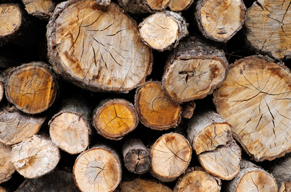 Bước 1: Chọn loại gỗ tự nhiên