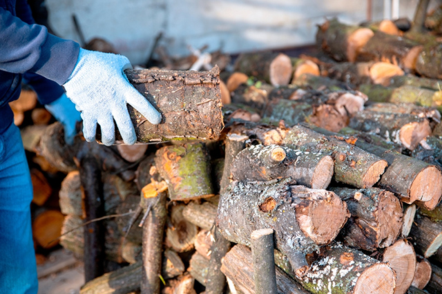 Cách xử lý gỗ thô bằng phương pháp sấy khô tự nhiên